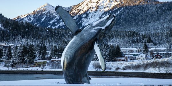 Things to Do in Alaska Juneau State Capitol Whale Watching Cruises Glacier Helicopters Kayaking