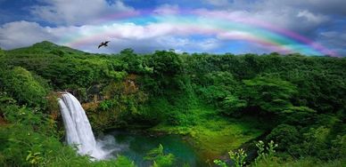 Things to do on Kauai Hawaii