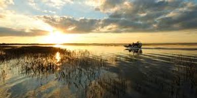 Things To Do In Kissimmee Disney World Universal Resorts SeaWorld Old Town ICON Park Family Friendly
