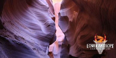Narrow sandstone canyon with smooth walls and light shining through.