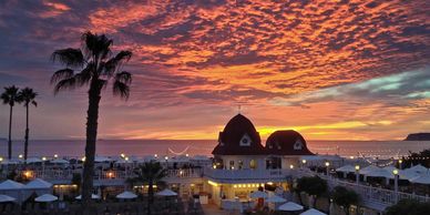 Things To Do In San Diego SeaWorld Flagship Cruises Whale Watching