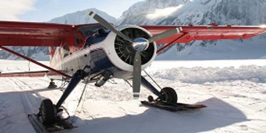 Things to do in Alaska Anchorage Denali National Park & Preserve Talkeetna Air Taxi Glacier Landing