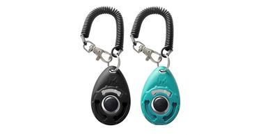 Black and teal keychain alarms with coiled cords.