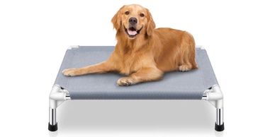 Golden retriever lying on a raised pet bed.