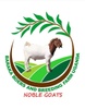 Baraka Boer Goats Farm Uganda