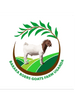 Baraka Boer Goats Farm Uganda