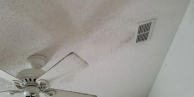 Evidence of mold on supply vent, ceiling and fan