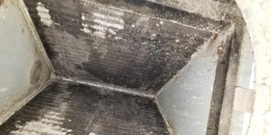 Moldy evaporator coil