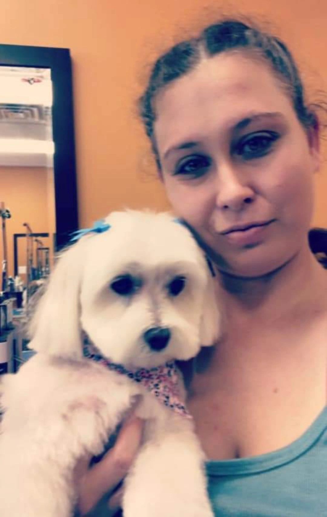 Top Mobile Pet Groomers in Your Area