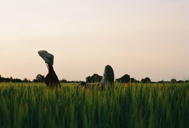 mann liegt im Feld im Sonnenuntergang 