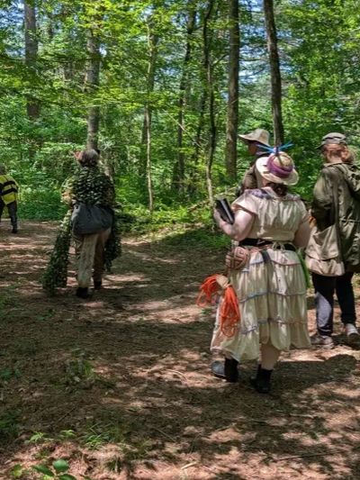 Group of people walking through a sunlit forest trail.