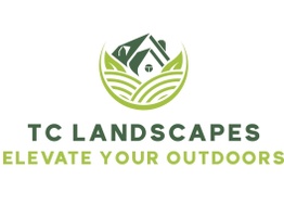 Tc Landscapes 
