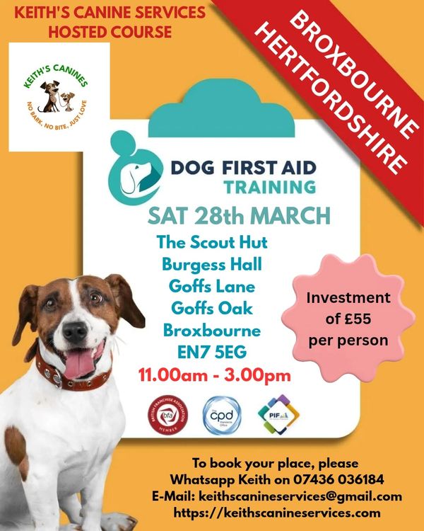 Canine First Aid Course Dog First Aid Course Dog CPR Training First Aid for Dogs Emergency Course
