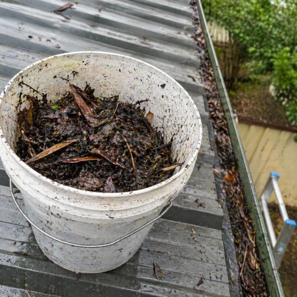 A white bucket filled with wet leaves and debris on a metal roof.