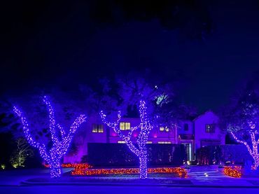 Trees wrapped in blue lights illuminate a house at night.