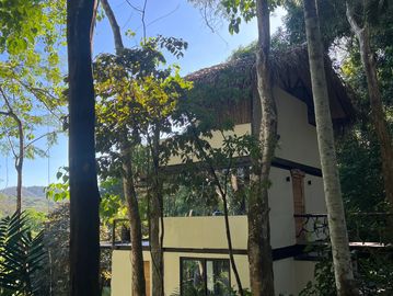 Two-story house surrounded by trees in a forested area.