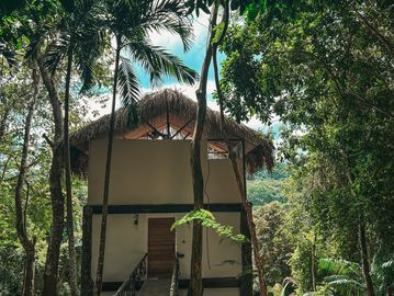 A rustic cabin surrounded by dense tropical trees under a cloudy sky.