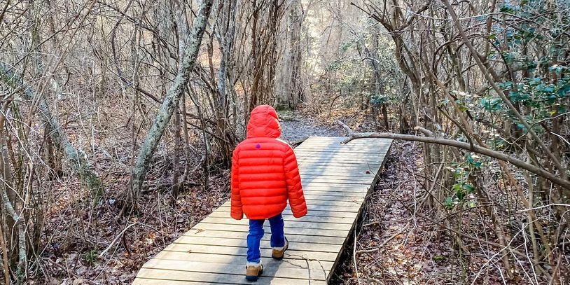 Making walking sticks – from stems picked out of the woodlands