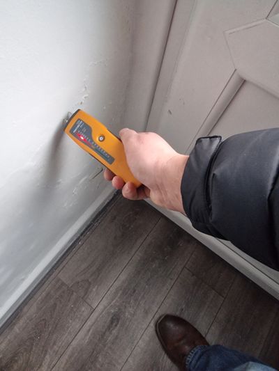 damp in wall
rising damp
