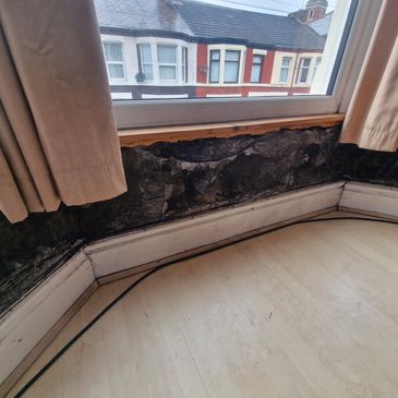 Black mould on wall