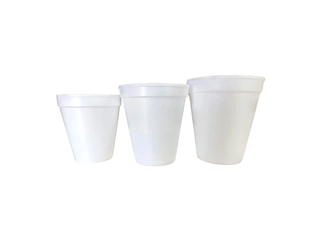 Vasos Térmicos 6,8,10 oz (1.000 unidades)