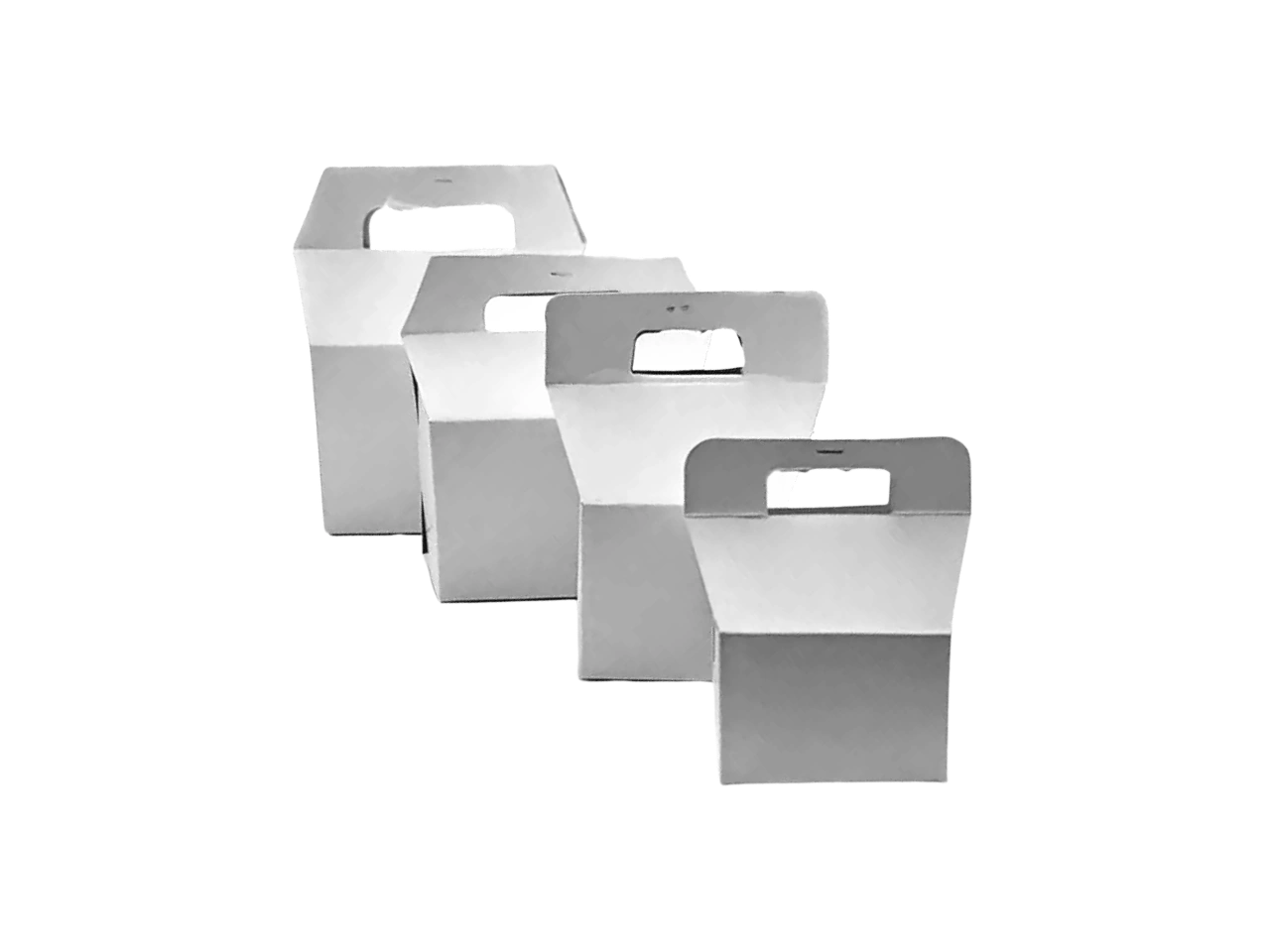 Cajas de Papas (100 unidades)