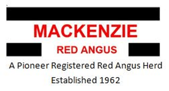 Ken Mackenzie Red Angus