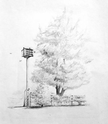 226.  Pencil.  Front yard lamp.
