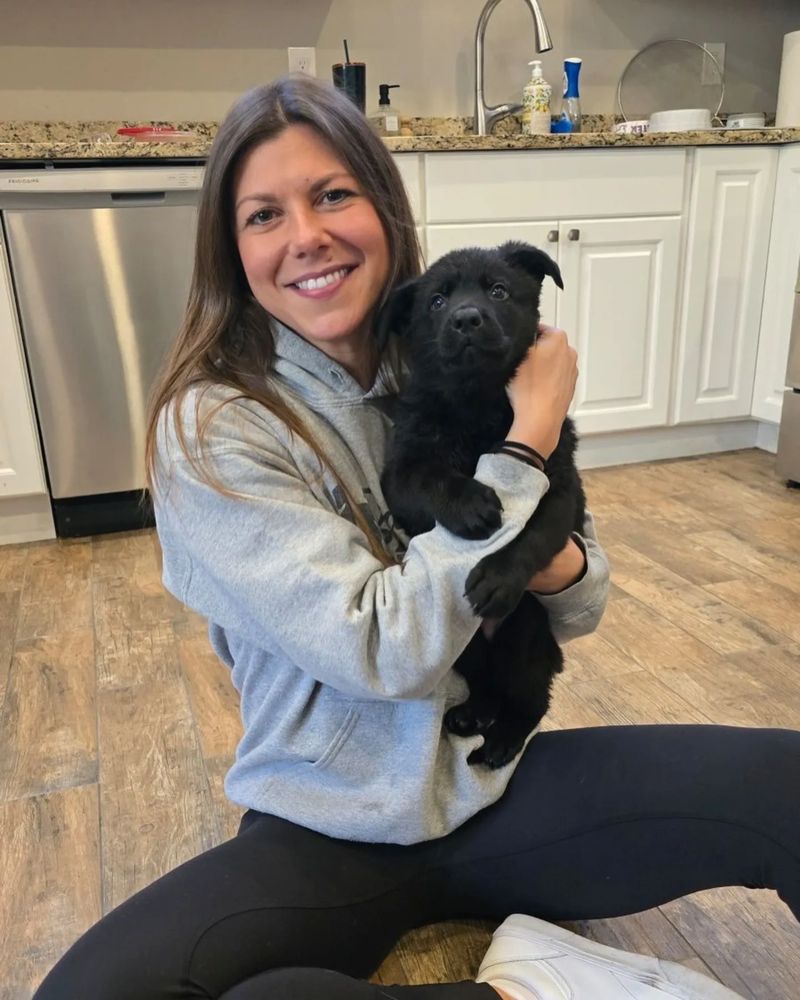 Collage of six happy dogs in various outdoor and indoor settings.