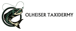 Olheiser Taxidermy