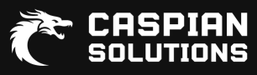 Caspian Solutions, LLC