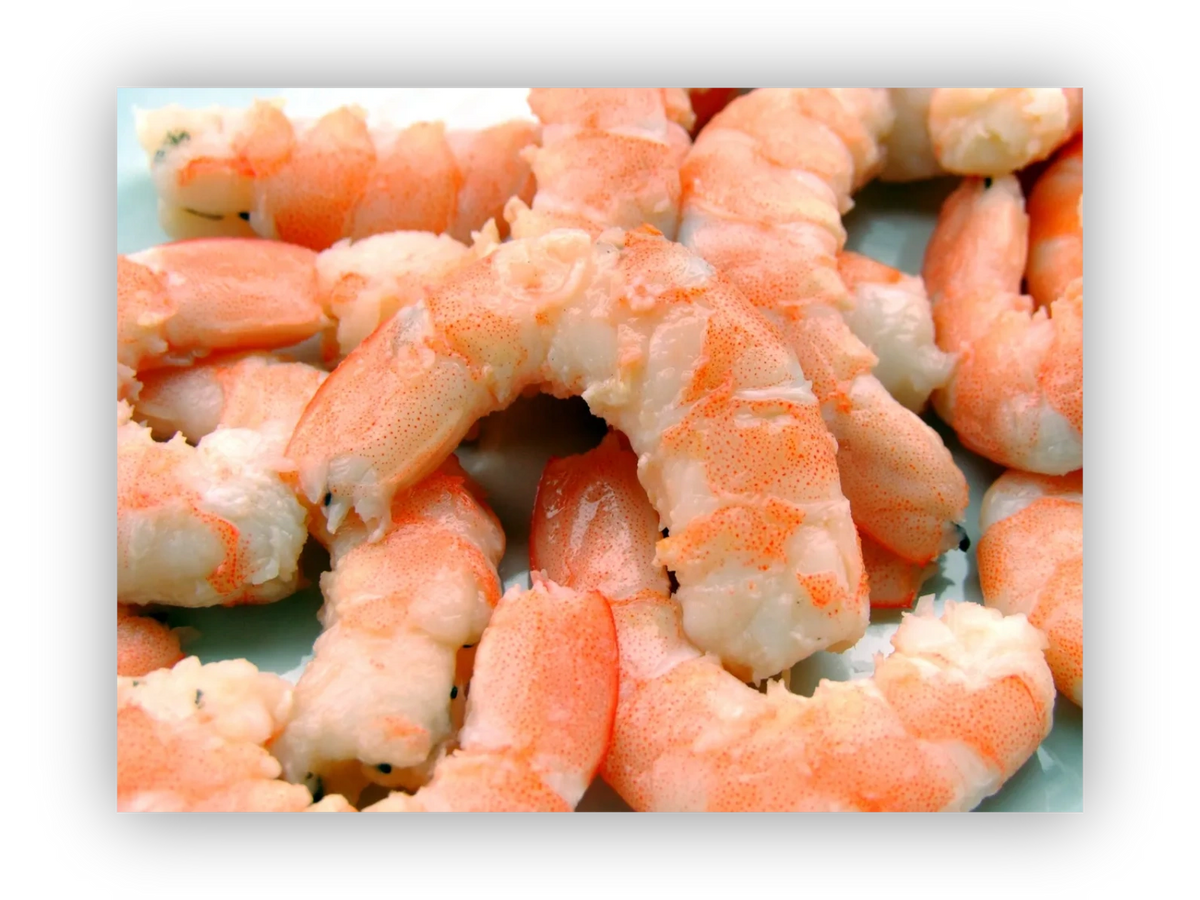 FreezeDried Shrimp Bait