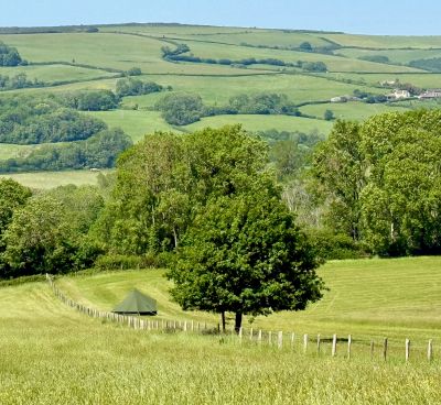 Enjoy incredibly spacious, peaceful pitches surrounded by stunning scenery, and endless Exmoor walki