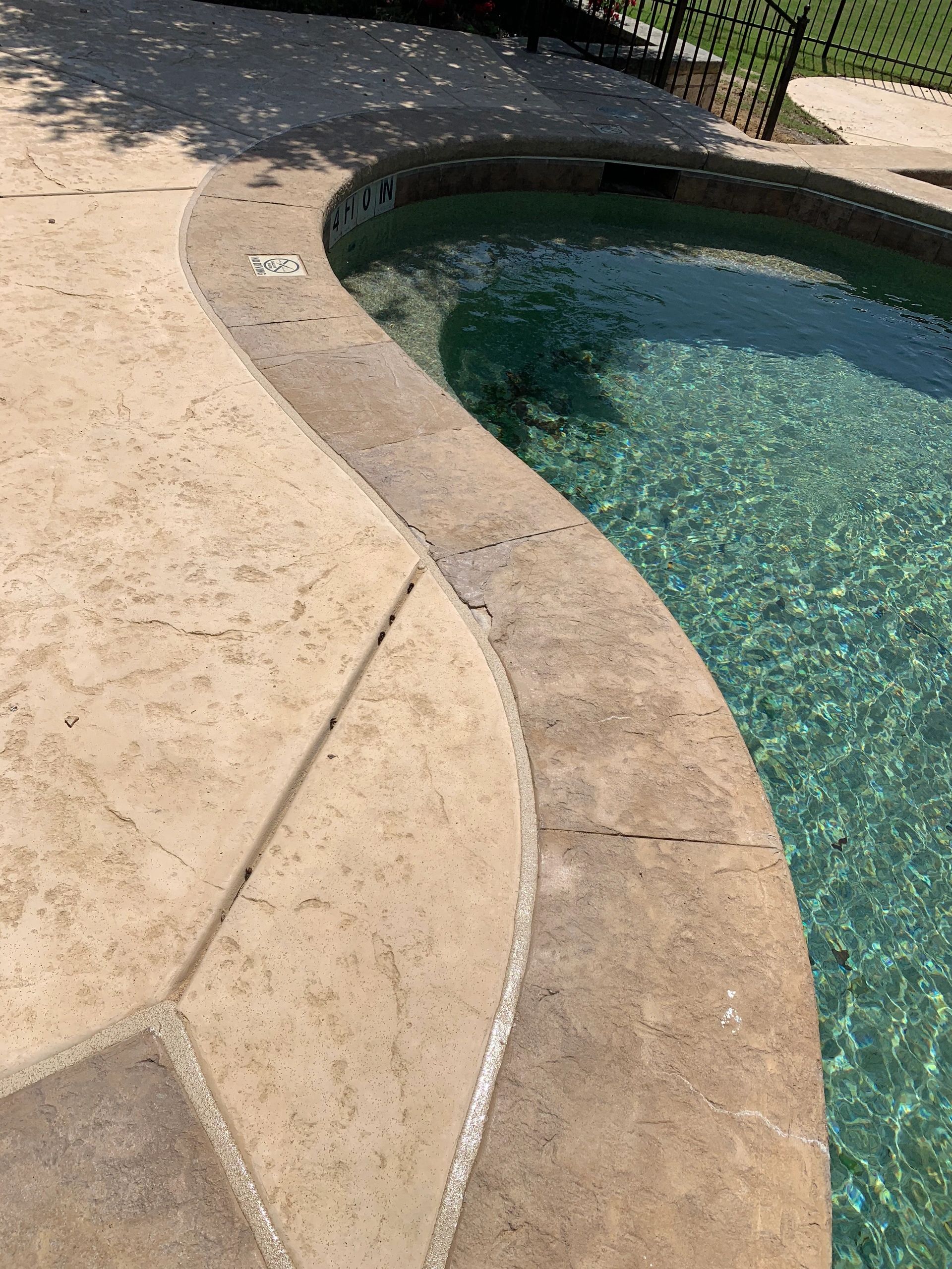 pool mastic replacement cost