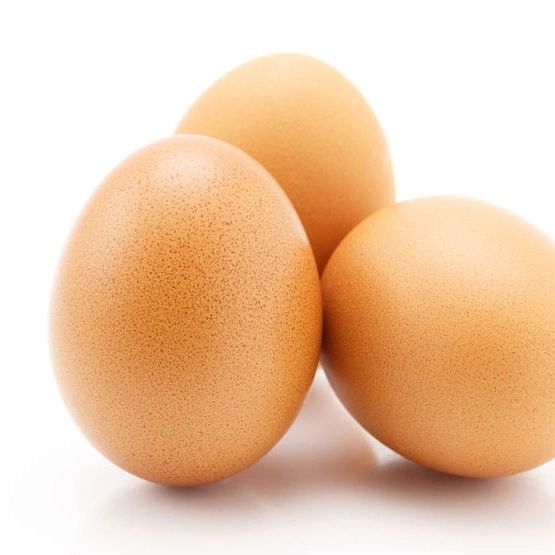Egg (1)