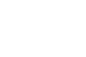 Platinum Construction