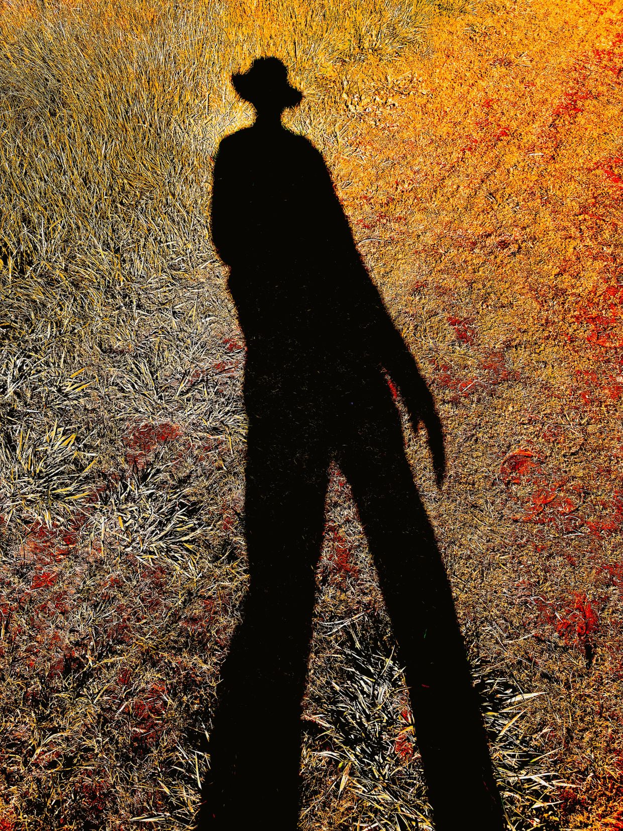 Shadow of a person with a hat on a colorful grassy ground.