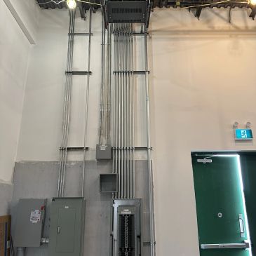 Electrical panel with conduits on a wall near a green door.