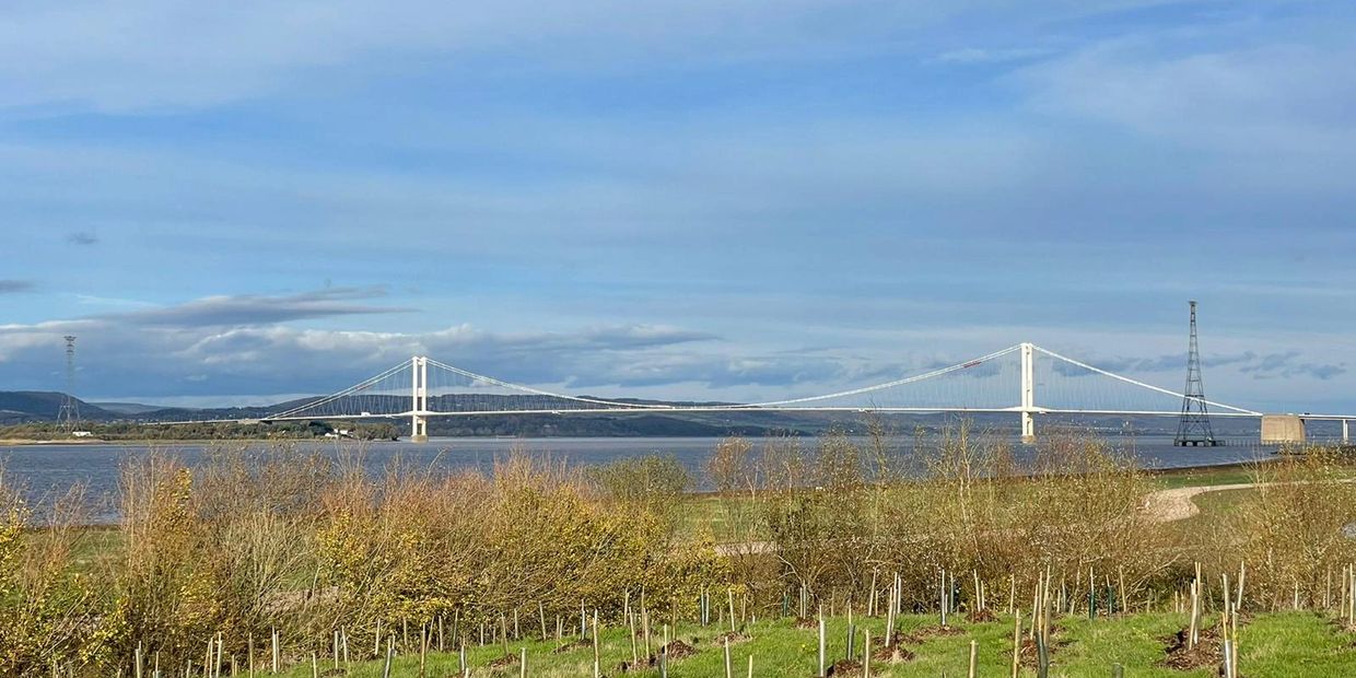 Tree Planting By Knighton Countryside Management at Avonmouth and Severnside Enterprise Area - ASEA