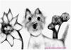 flower fun