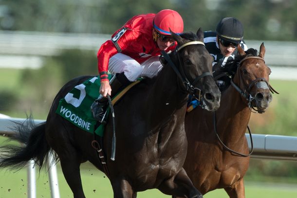 https://woodbine.com/woodbine-news/notice-looks-live-name-south-ocean-stakes/