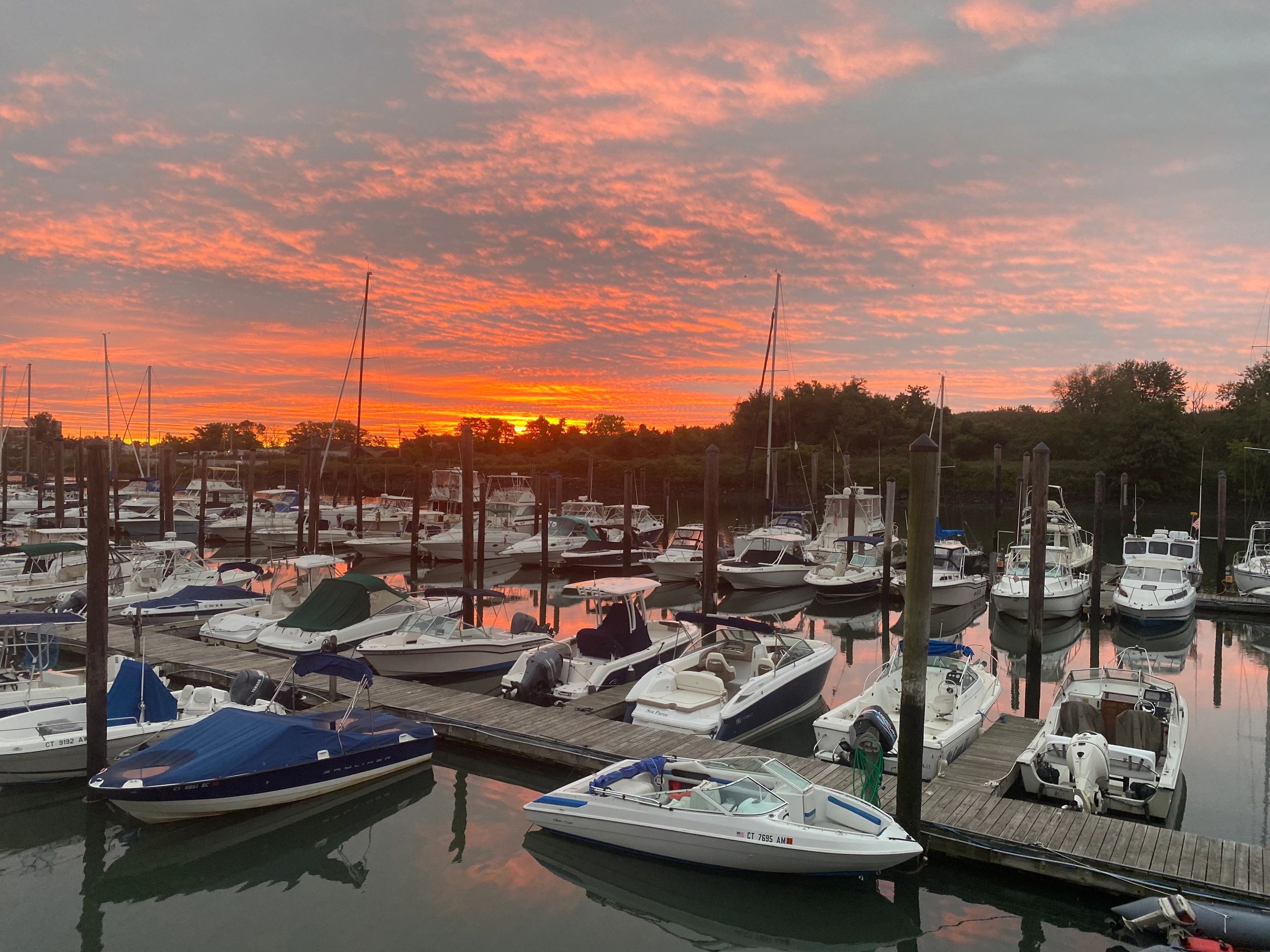 Cedar Marina