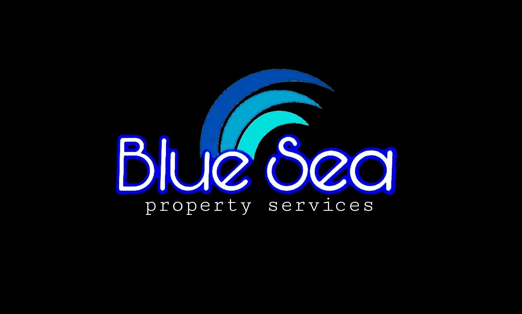 Blue Sea Property Services llc