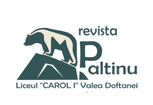 REVISTA PALTINU