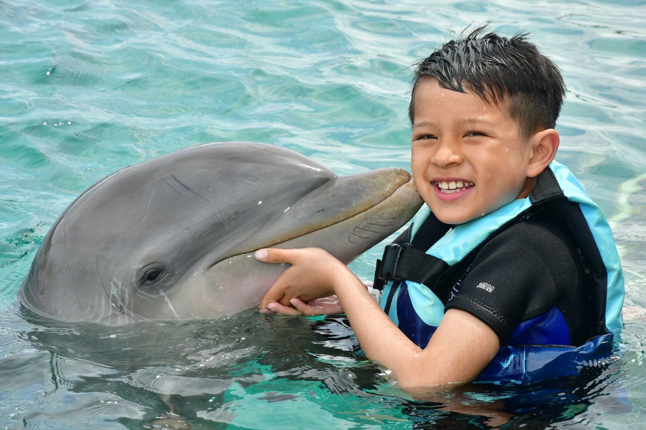 Mesa West Real Estate