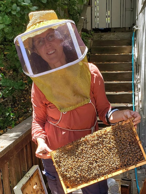 Honey Candy  The Southern Beekeeper