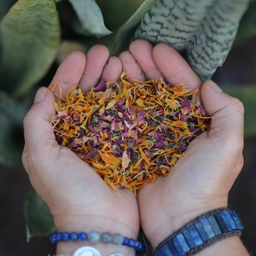 Hands holding colorful dried flower petals forming a heart shape.