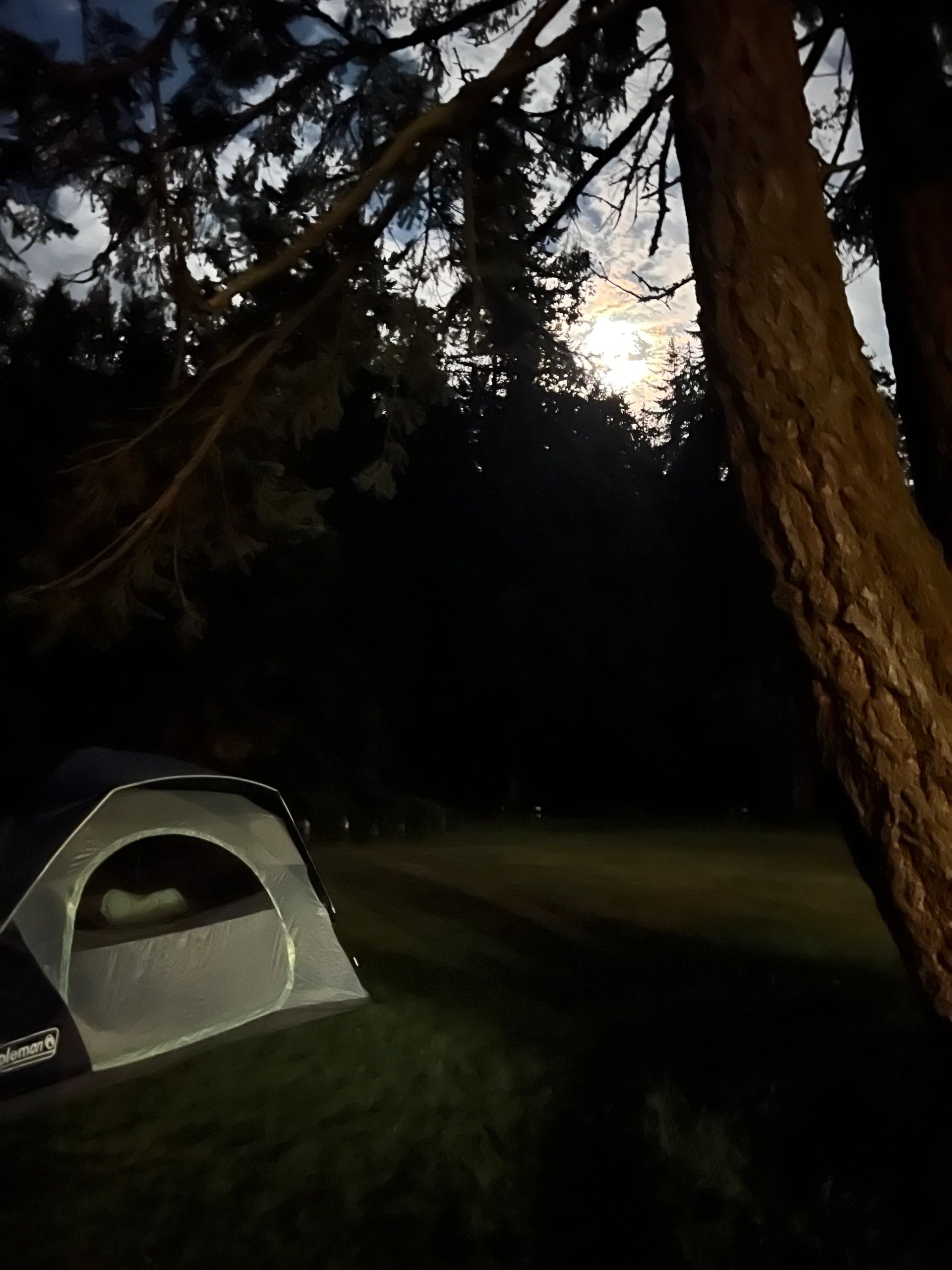 Chef Unika's tent under a full moon.