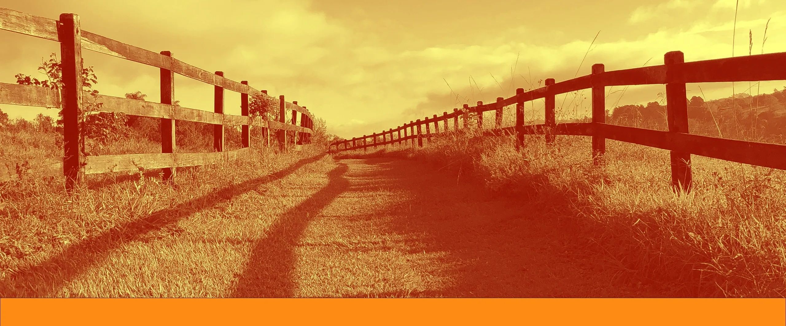 Post Rail Fencing Costs Per Metre