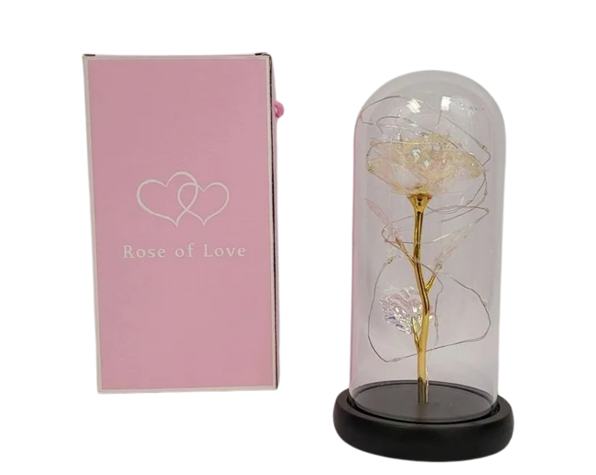 F286388 Galaxy Rose Flower Dome with LED String Clear (12pcs)